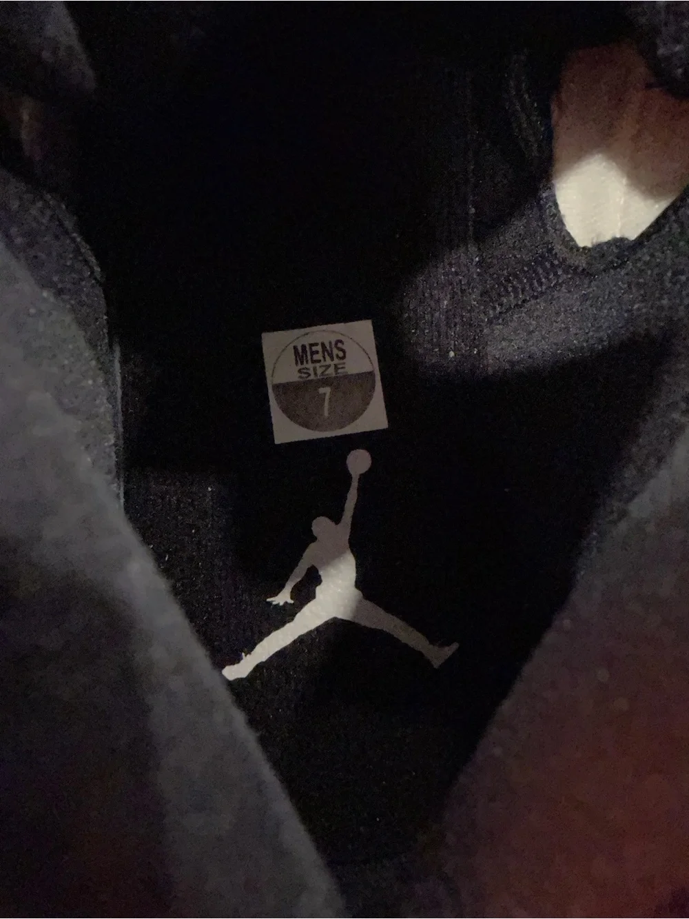 NIKE AIR JORDAN LIFT OFF LIGHT BONE BROWN-REFLECT SILVER SZ 7